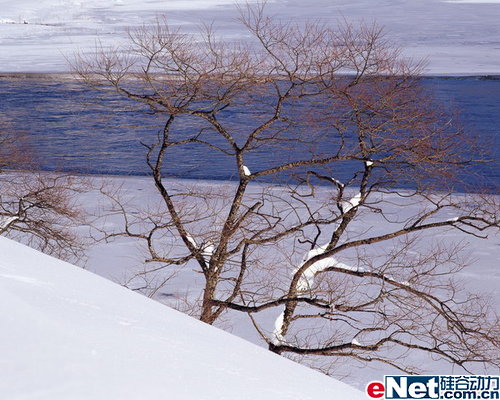 相片中暖暖味道 廉价入门数码相机导购