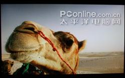 598元18.5寸液晶敢买吗 长城M930评测 598元18.5寸液晶敢买吗 长城M930评测